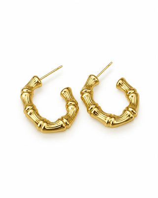 14K Gold Bambu Halka Küpe