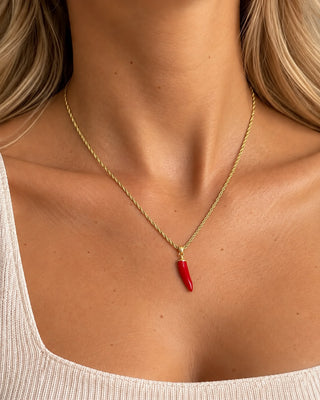 14K Gold Burgu Zincir Biber Kolye