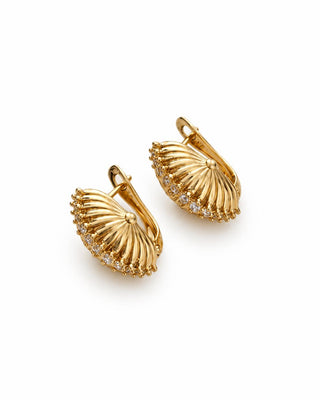14K Gold Midye Desen Minimal Halka Küpe