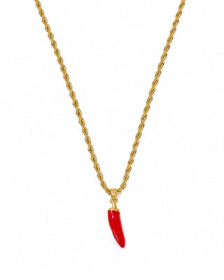 14K Gold Burgu Zincir Biber Kolye
