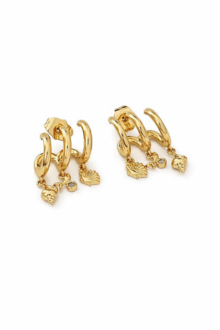 Gold Üçlü Görünüm Midye Detay Küpe