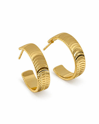 14K Gold Pul Desen Halka Küpe