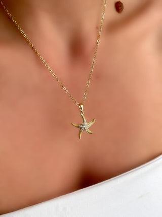14K Gold Deniz Yıldızı Kolye