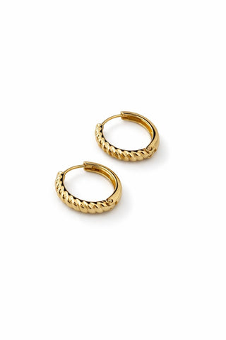 Minimal Gold Burgu Halka Küpe