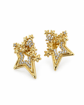 14K Gold Kar Tanesi Yıldız Küpe
