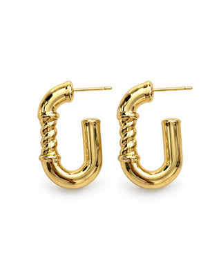 14K Gold Burgu Desen Halka Küpe
